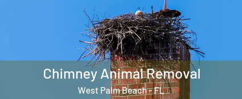 Chimney Animal Removal West Palm Beach - FL