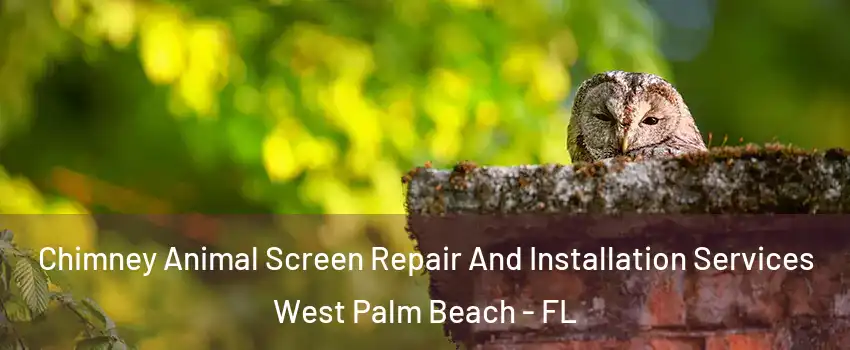  Chimney Animal Screen Repair And Installation Services West Palm Beach - FL