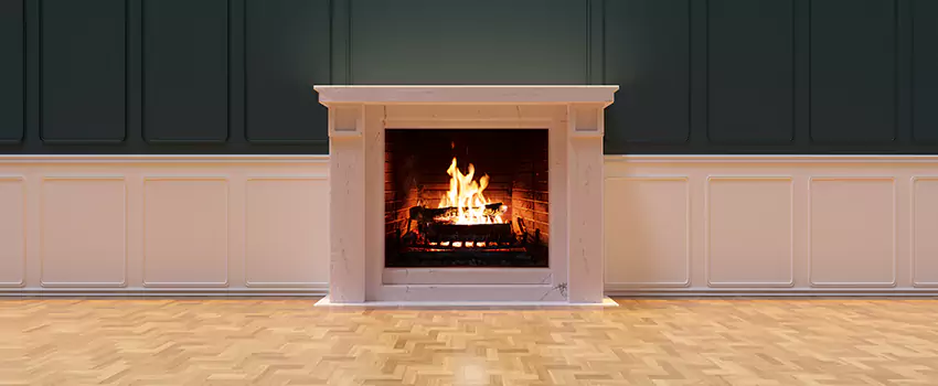 Napoleon Electric Fireplaces Inspection Service in West Palm Beach, Florida